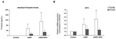 Corrigendum: Homeobox regulator Wilms Tumour 1 is displaced by androgen receptor at cis-regulatory elements in the endometrium of PCOS patients